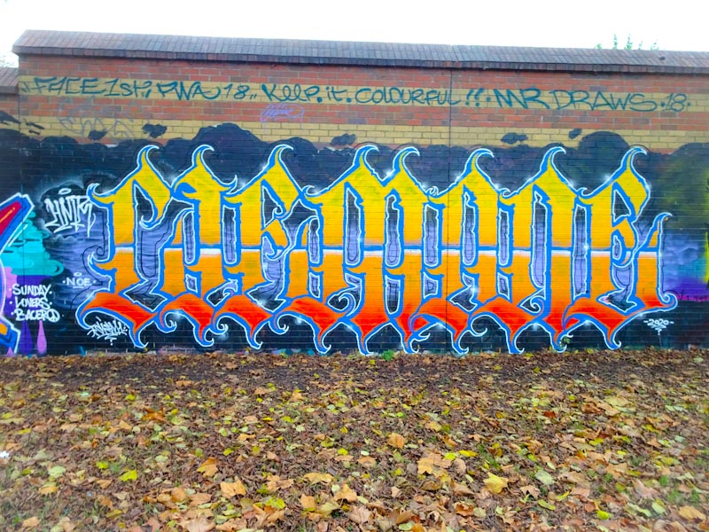 Todoaciem, Sparke Evans Park, Bristol, November 2020