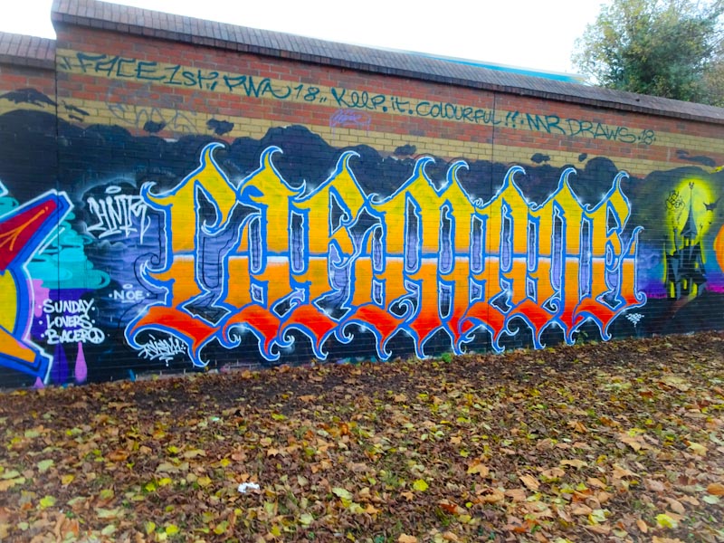 Todoaciem, Sparke Evans Park, Bristol, November 2020