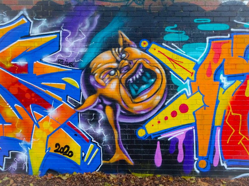 Zake, Sparke Evans Park, Bristol, November 2020