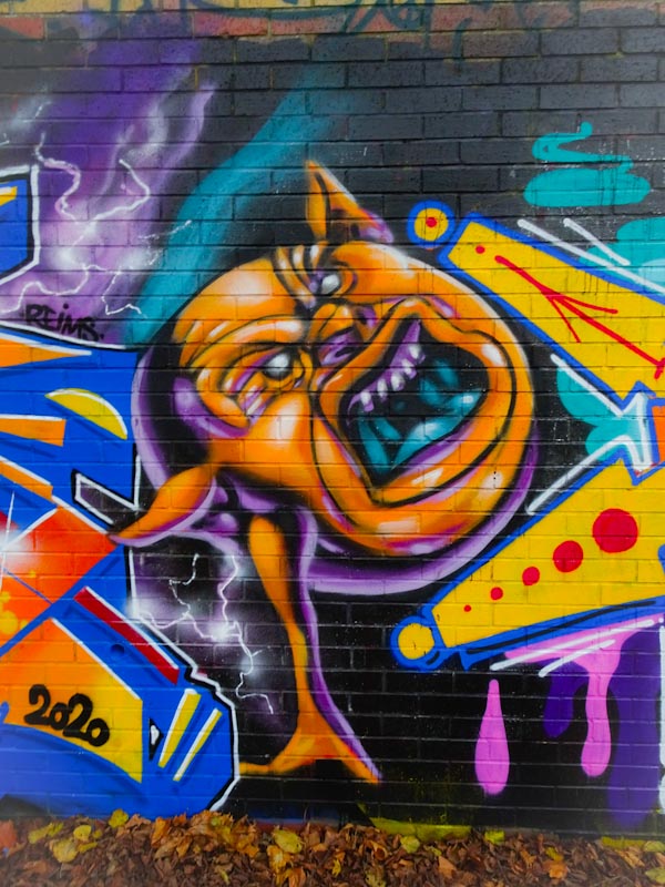 Zake, Sparke Evans Park, Bristol, November 2020