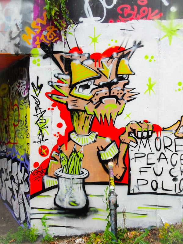 Daz Cat, M32 roundabout, Bristol, July 2020