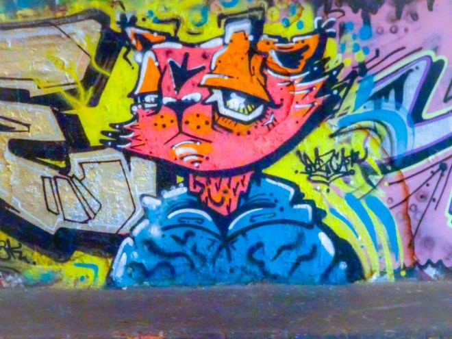 Daz Cat, St Werburghs, Bristol, November 2020