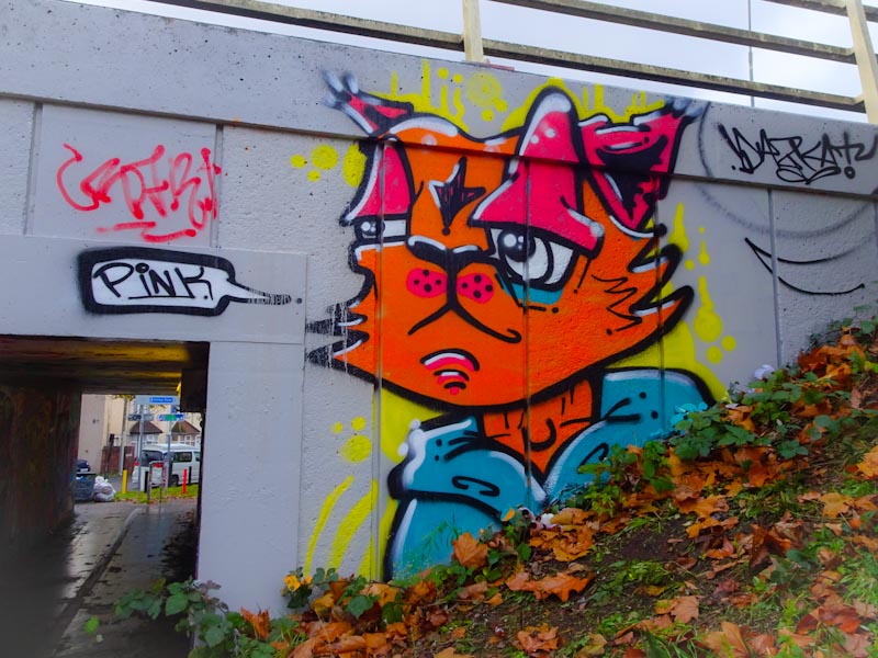 Daz Cat, M32 roundabout, Bristol, November 2020