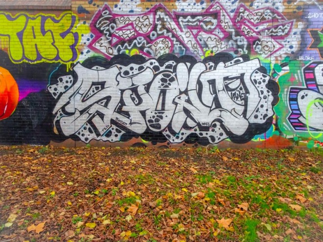 Dott Rotten, Sparke Evans Park, Bristol, November 2020