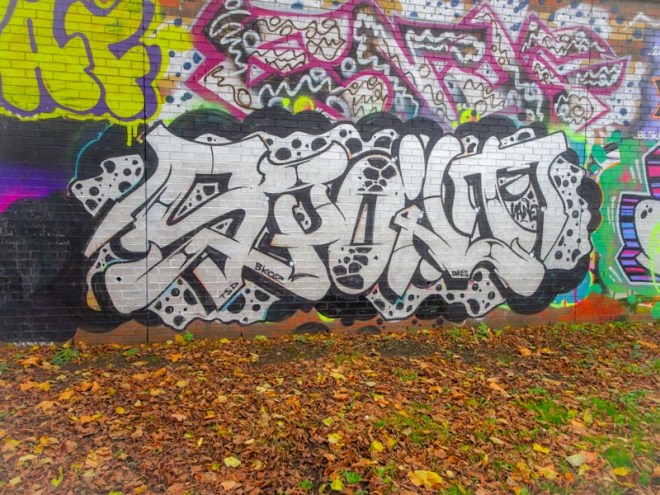 Dott Rotten, Sparke Evans Park, Bristol, November 2020