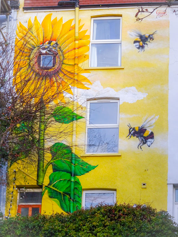 Gage Graphics, St Luke's Road, Bristol, December 2020