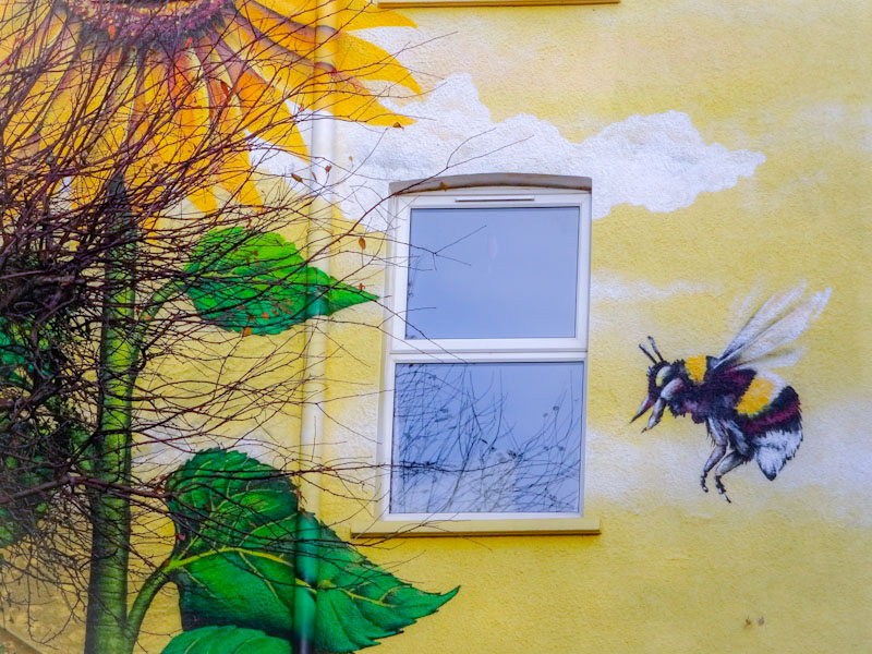 Gage Graphics, St Luke's Road, Bristol, December 2020