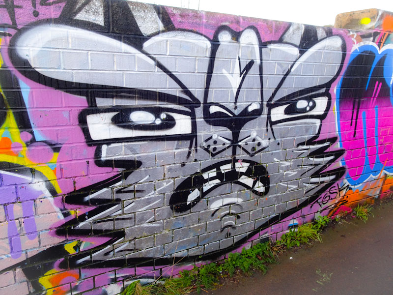 Daz Cat, Narroways, Bristol, January 2021