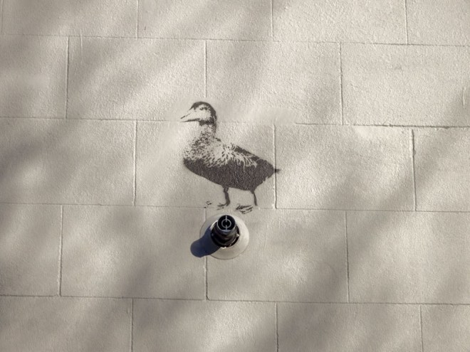 Stewy, Richmond Road, Bristol, Jnuary 2021