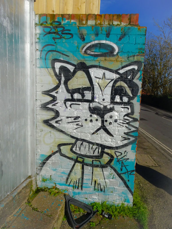 Daz Cat, St Andrews Road, Bristol, January 2021