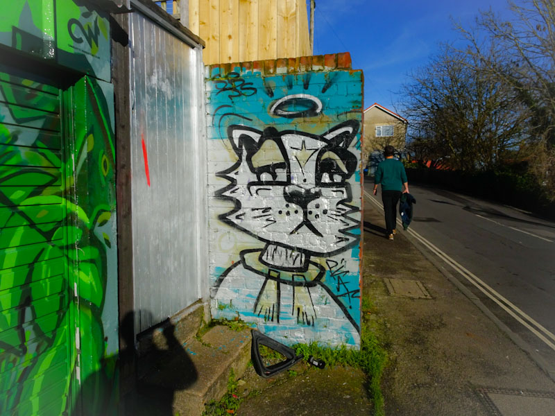 Daz Cat, St Andrews Road, Bristol, January 2021