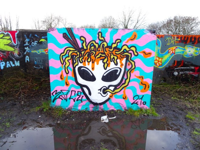 Zace, Purdown, Bristol, February 2021