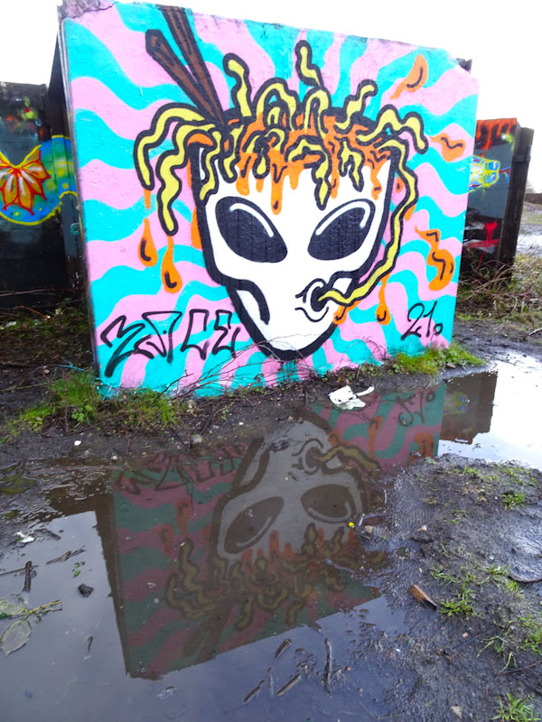 Zace, Purdown, Bristol, February 2021