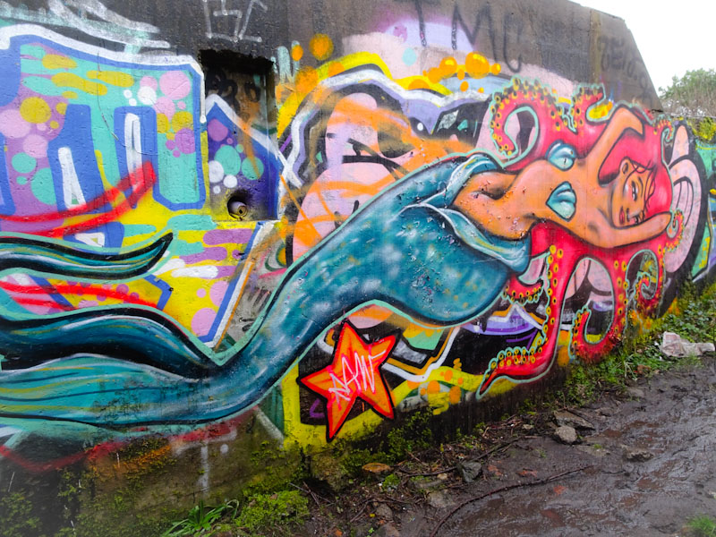 Rosalita, Purdown, Bristol, February 2021