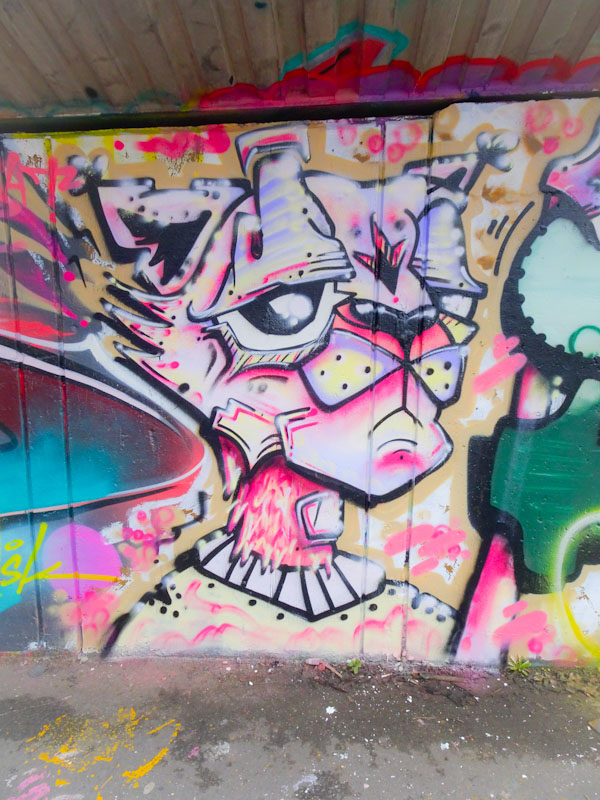 Daz Cat, M32 cycle path, Bristol, March 2021