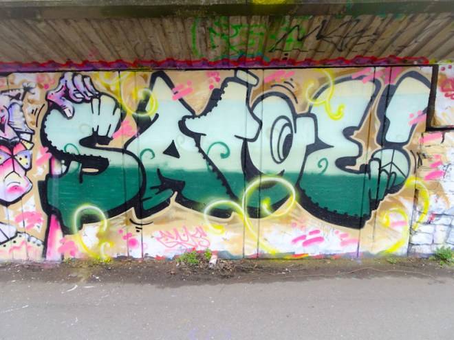 Sage, M32 cycle path, Bristol, March 2021