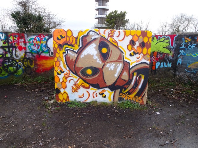 Skronius, Purdown, Bristol, March 2021