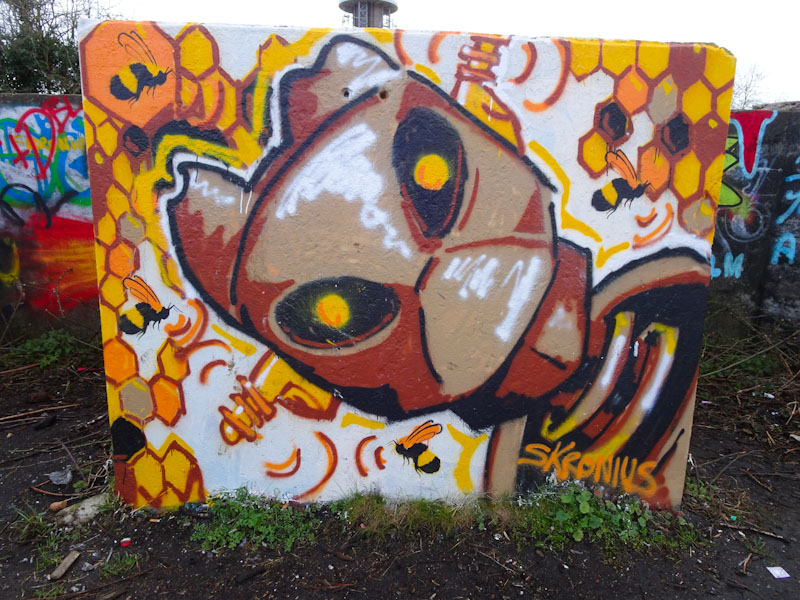 Skronius, Purdown, Bristol, March 2021