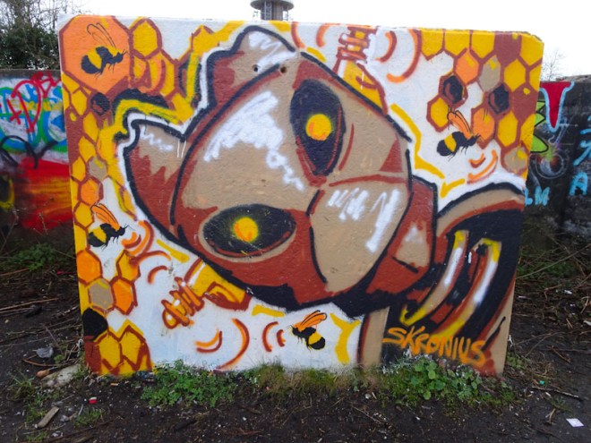 Skronius, Purdown, Bristol, March 2021