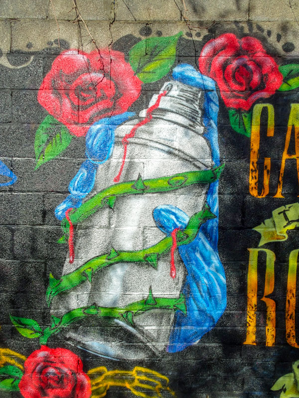 Laic217, River Avon, Bristol, March 2021