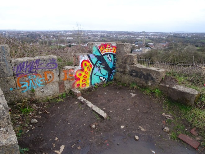 Sage, Purdown, Bristol, March 2021