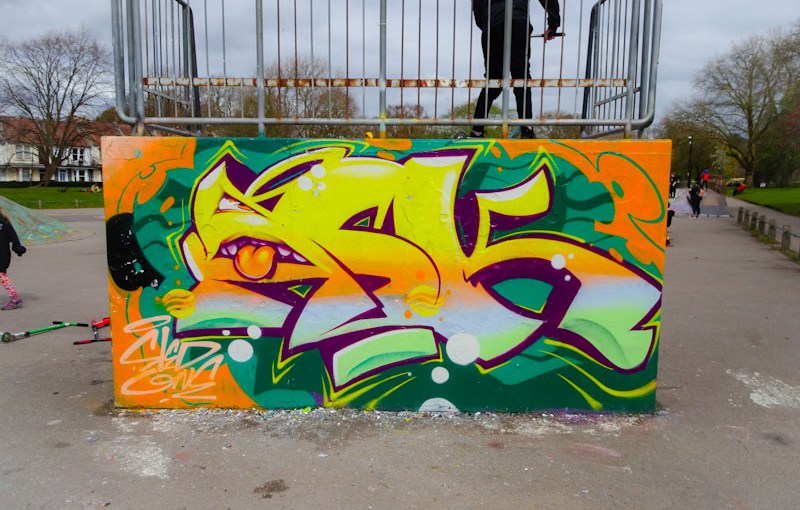 3631. St George skate park&nbsp;(13)