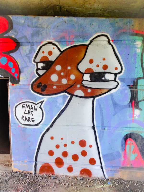 Eman, Cumberland Basin, Bristol, May 2021