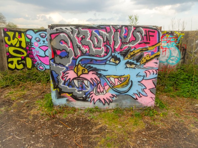 Skronius, Purdown, Bristol, May 2021