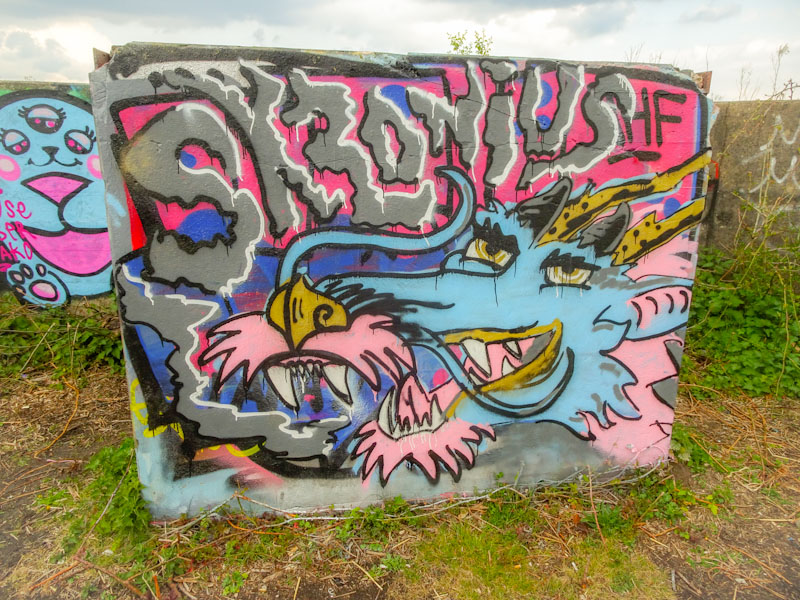 Skronius, Purdown, Bristol, May 2021