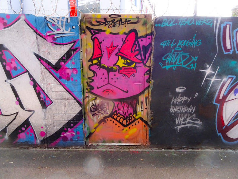 Daz Cat, M32 cycle path, Bristol, May 2021