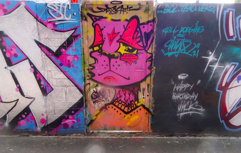 Daz Cat, M32 cycle path, Bristol, May 2021