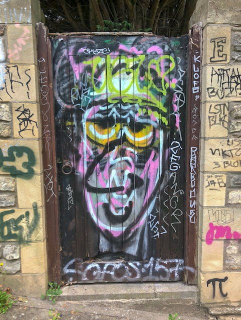 Arched garden door, Cotham, Bristol, May 2021