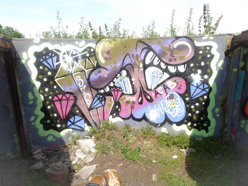 Soap, Purdown Battery, Bristol, July 2021