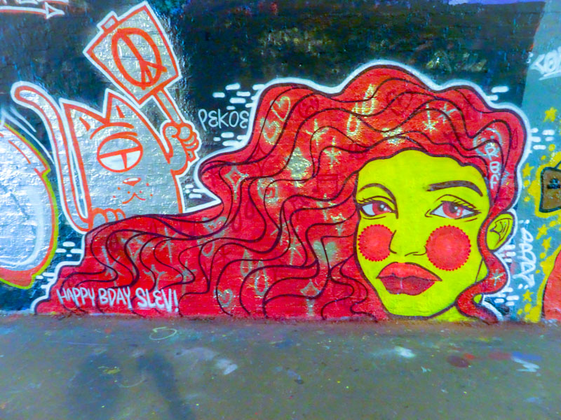 The cat came back and Pekoe, St Werburghs, Bristol, July 2021