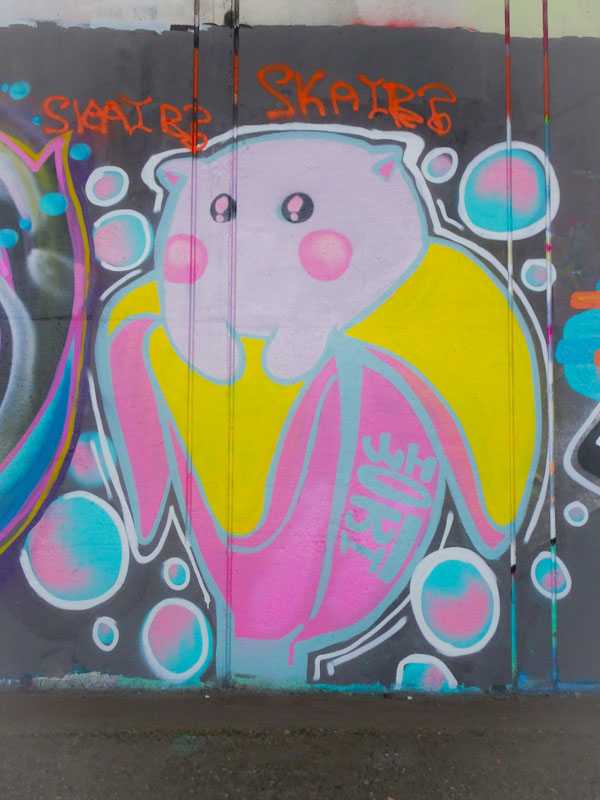 Maesyhook, Frome side, Bristol, June 2-021