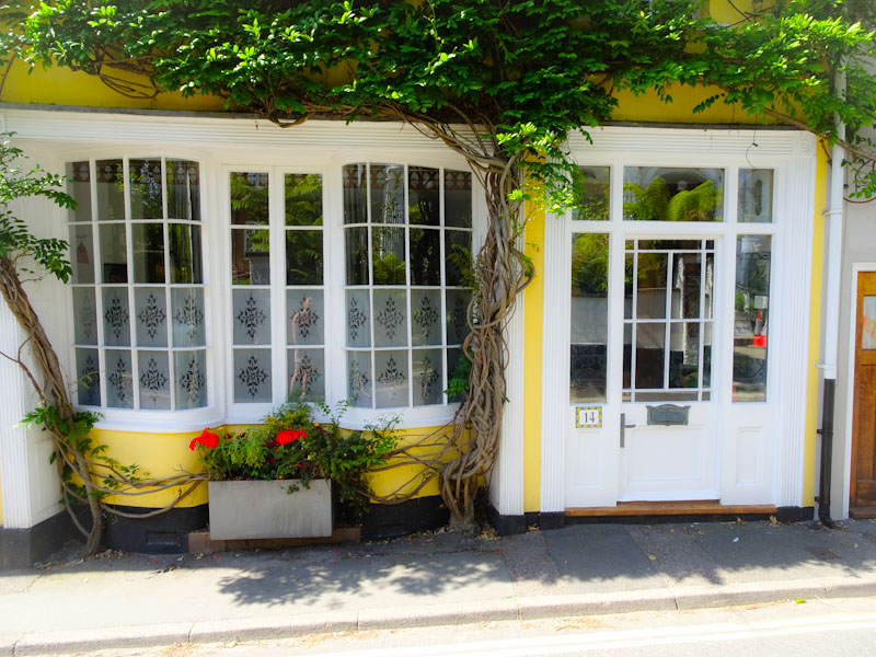 Beautiful shopfront with unusual bay windows, Wisteria and of course door, Lyme Regis, Dorset, August 2021