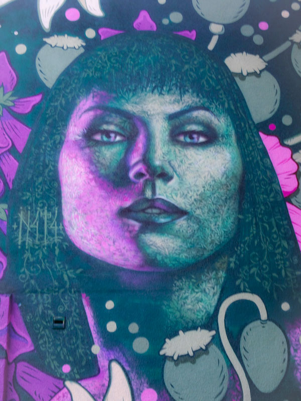 N4T4, Clift House Road, Bristol, August 2021, Upfest 21