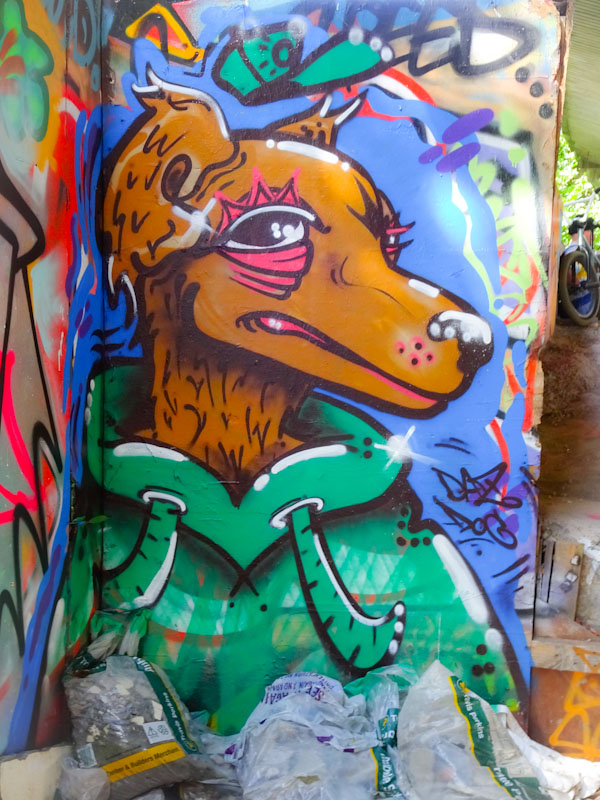 Daz Cat, M32 Spot, Bristol, July 2021