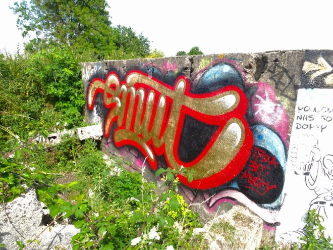 Smut, Purdown Battery, Bristol, July 2021