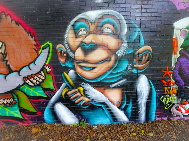 Zake, Sparke Evans Park, Bristol, September 2021