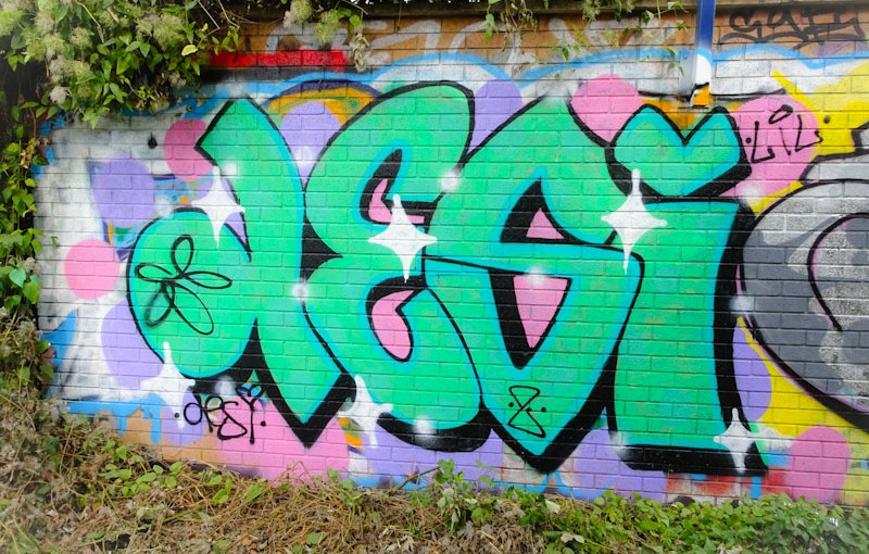 Desi, River Avon, Bristol, September 2021