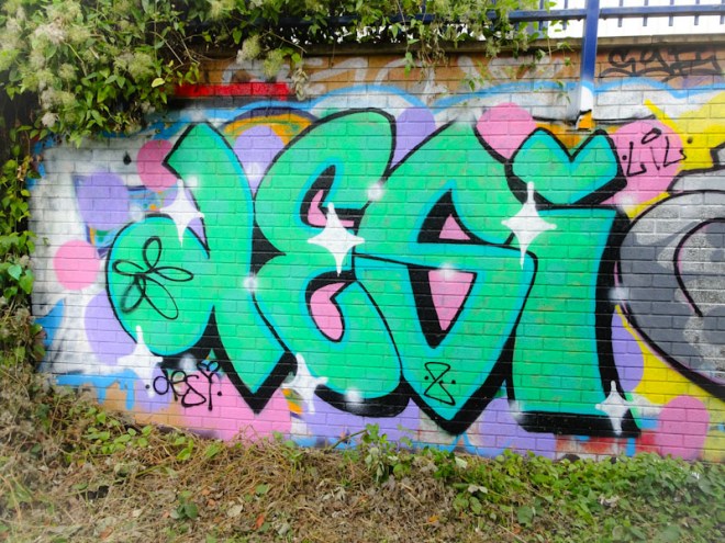 Desi, River Avon, Bristol, September 2021