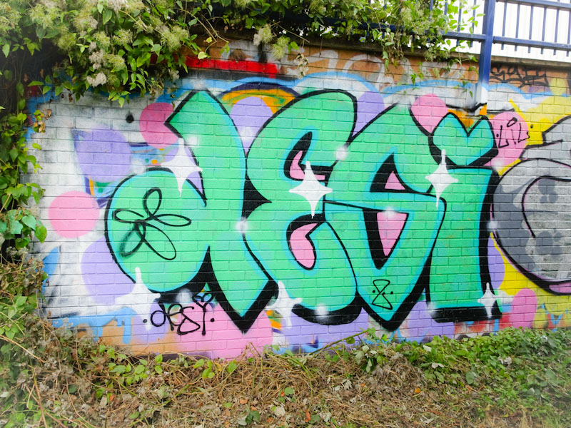 Desi, River Avon, Bristol, September 2021