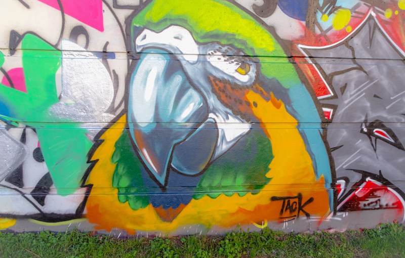 Tack Jucker, Cumberland basin, Bristol, October 2021