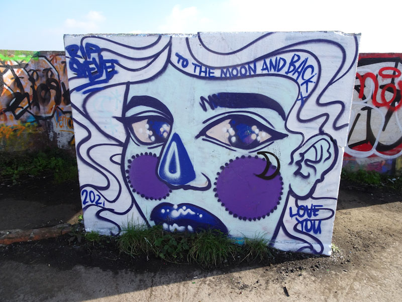 Pekoe, Purdown Battery, Bristol, October 2021