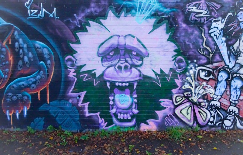 4005. Sparke Evans Park&nbsp;(14)