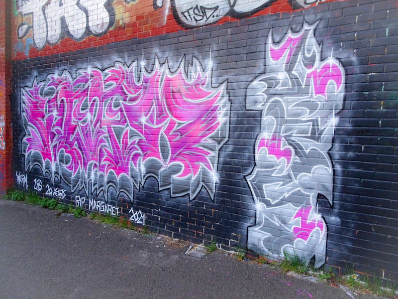 Eman, River Avon, Bristol, October 2021