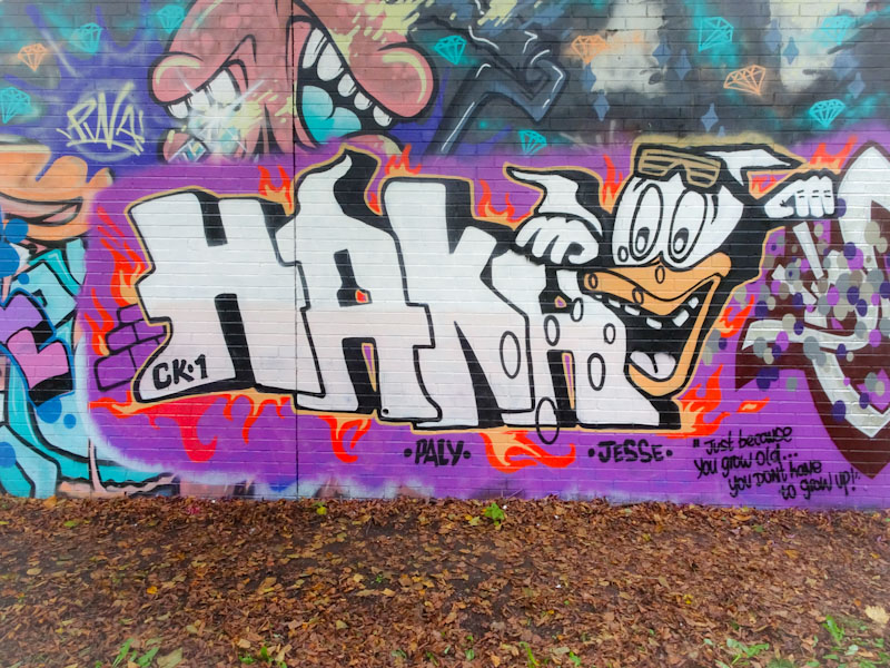 Haka, Sparke Evans Park, Bristol, November 2021