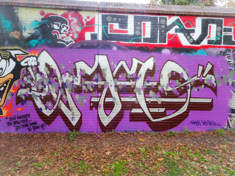 Logoe, Sparke Evans Park, Bristol, November 2021