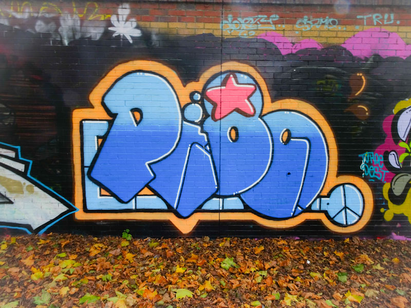 Pl8o, Sparke Evans Park, Bristol, November 2021